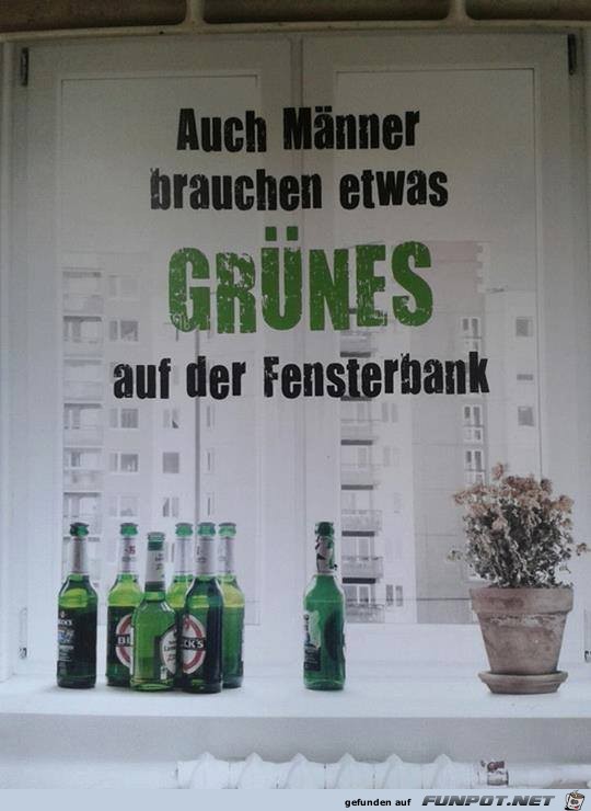 Etwas gruenes auf der Fensterbank Etwas gruenes auf der Fensterbank