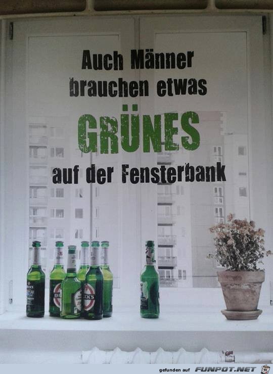 Etwas gruenes auf der Fensterbank