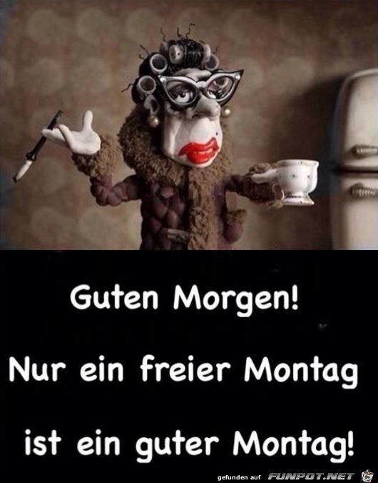 guten Morgen......