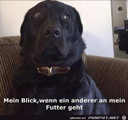 Blick Blick