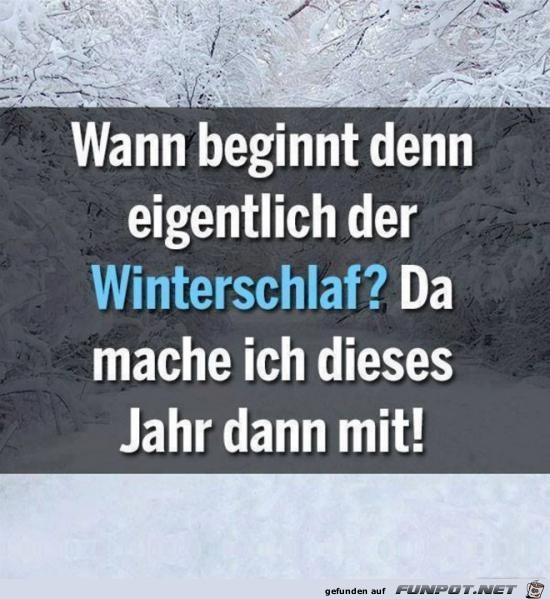 wann beginnt der Winterschlaf?.....