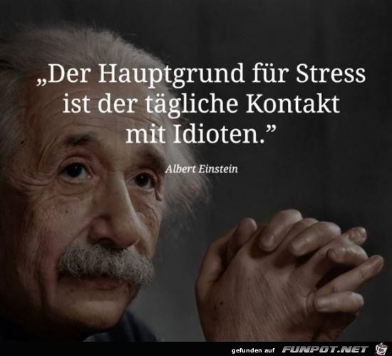 der Hauptgrund für Stress....... der Hauptgrund für Stress.......