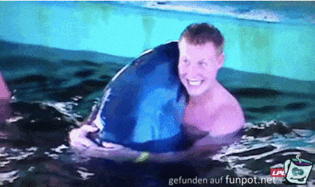 wenn du beim Delfinküssen Angst bekommst wenn du beim Delfinküssen Angst bekommst