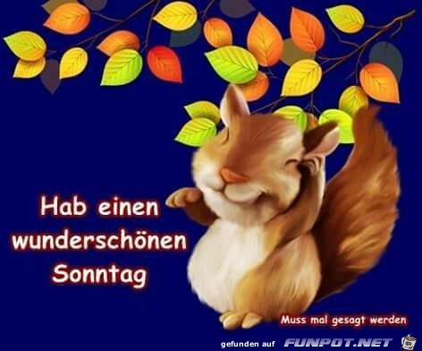 Schönen Sonntag Schönen Sonntag