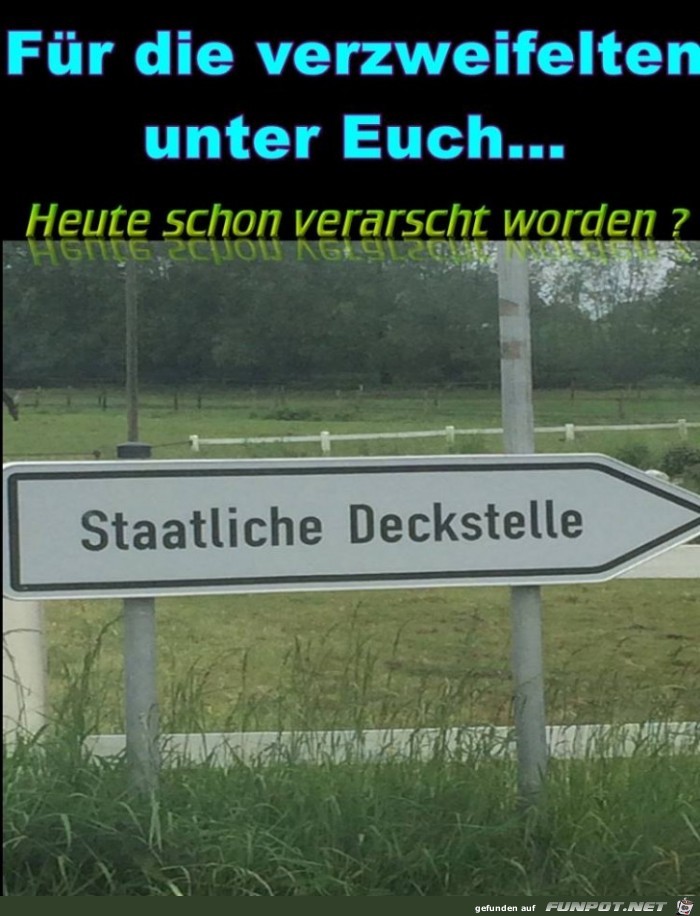 Fuer die Verzweifelten