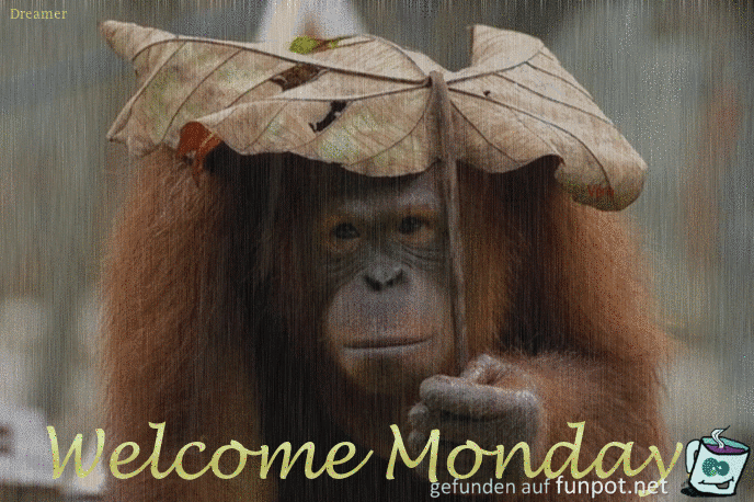 Montag Montag