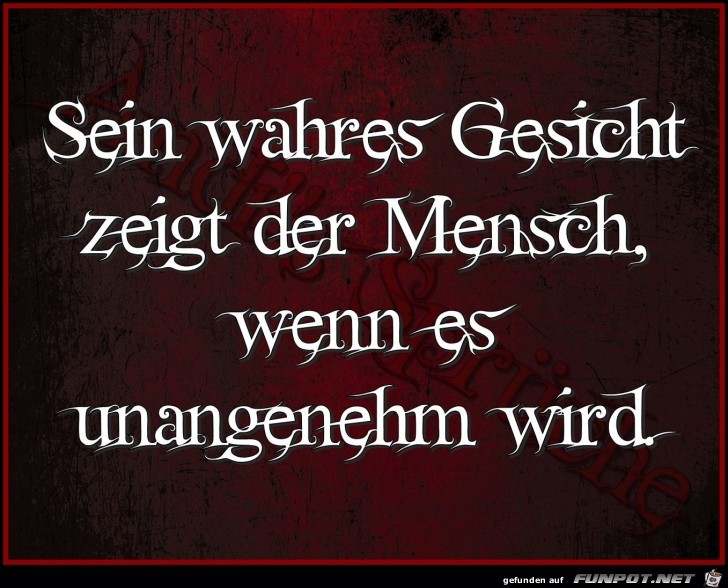 10 schne Sprche und Lebensweisheiten aus...