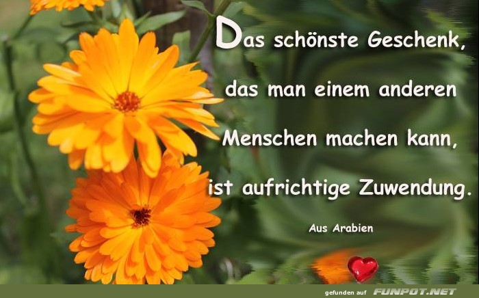 10 schöne Sprüche und Lebensweisheiten aus... 10 schöne Sprüche und Lebensweisheiten aus...