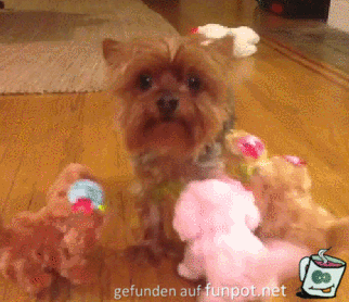 ach Gott wie knuffig ach Gott wie knuffig