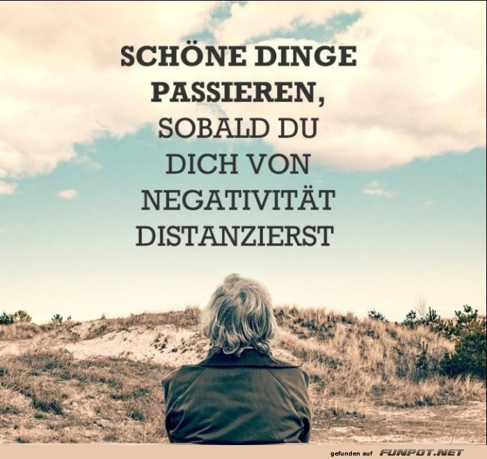 10 sch�ne Spr�che und Lebensweisheiten aus...