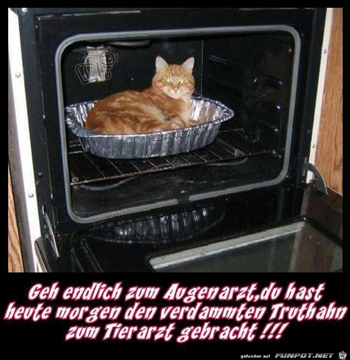 Geh endlich zum Augenarzt Geh endlich zum Augenarzt