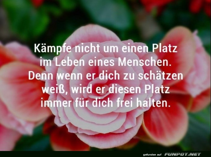 10 schne Sprche und Lebensweisheiten aus...