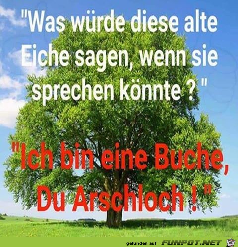 Jetzt weißt du das auch Jetzt weißt du das auch