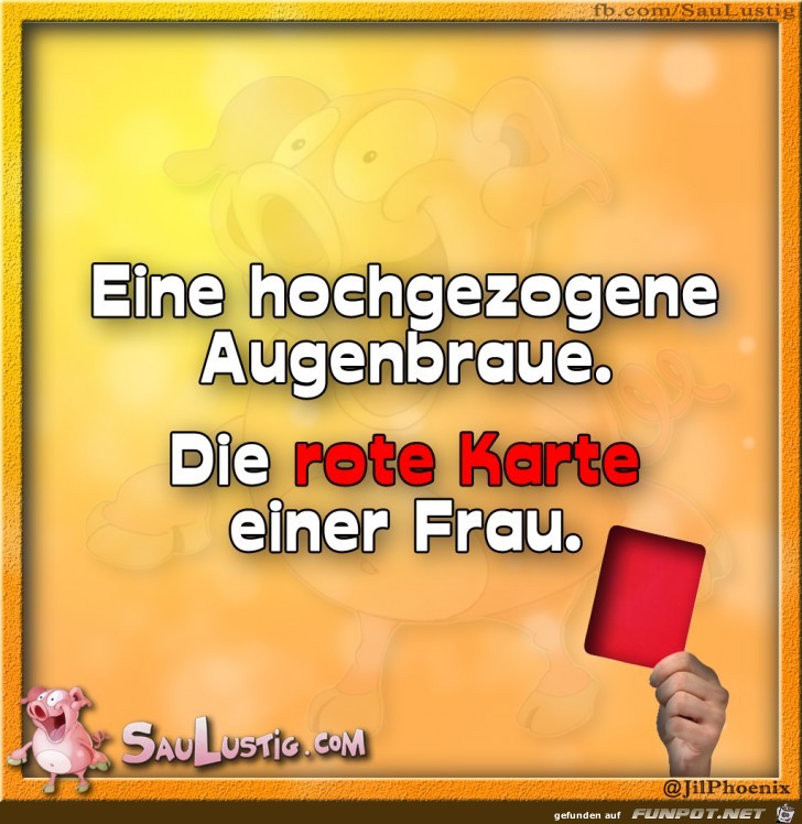 Eine-hochgezogene-Augenbraue Eine-hochgezogene-Augenbraue