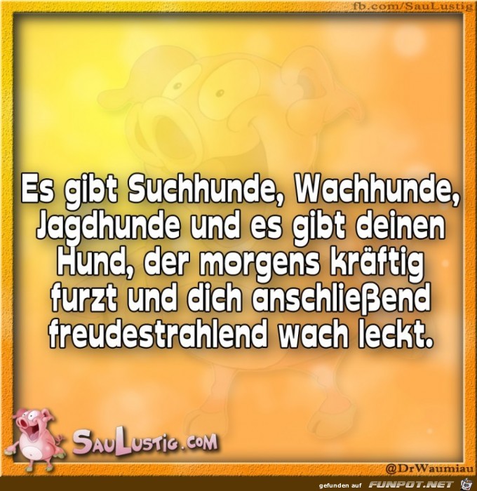 Es-gibt-viele-Hunde Es-gibt-viele-Hunde