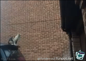 gut angesetzt, aber doch ausgerutscht gut angesetzt, aber doch ausgerutscht