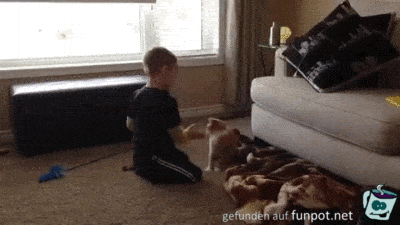 er sollte wissen, dass sich eine Katze da nicht bieten lässt er sollte wissen, dass sich eine Katze da nicht bieten lässt