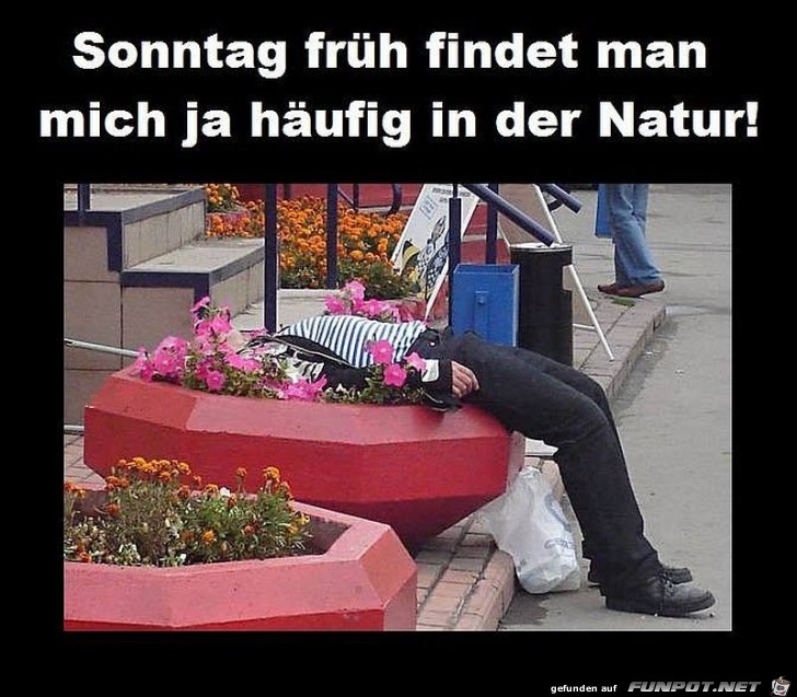 In der Natur