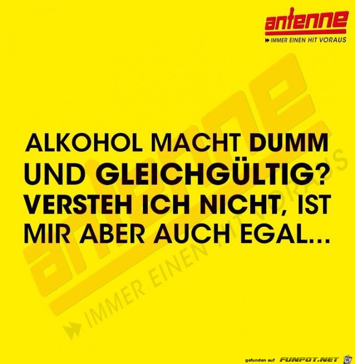 Alkohol macht dumm