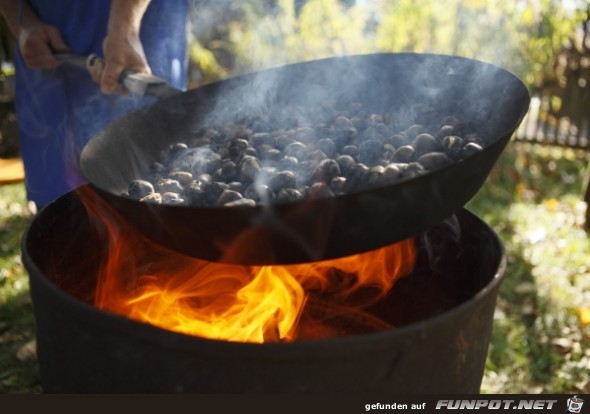 Suedtiroler Kastanien Suedtiroler Kastanien