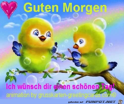 Guten Morgen---