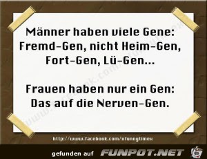 Die Gene des Mannes