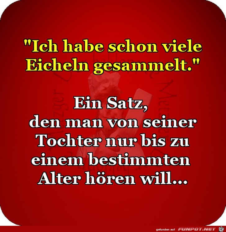 Ich habe schon viele Eicheln gesammelt Ich habe schon viele Eicheln gesammelt