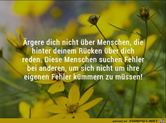 Aergere dich nicht