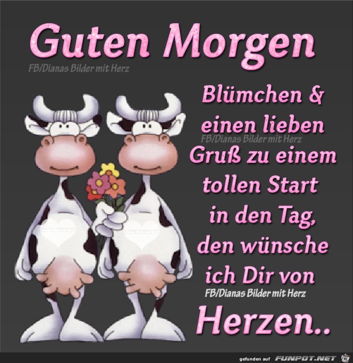 Guten Morgen -