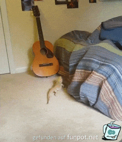 Ich will auch ins Bett Ich will auch ins Bett