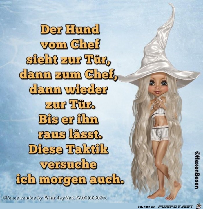Der Hund Der Hund