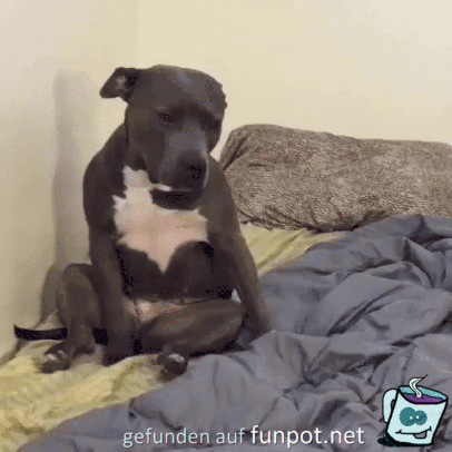 Bin ich müde Bin ich müde