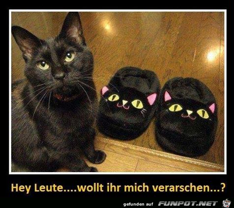 Echt jetzt? Echt jetzt?
