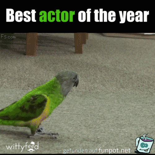 best actor best actor