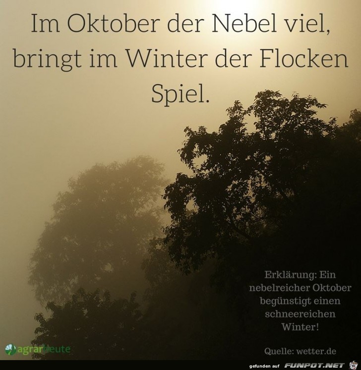 So wird das Wetter im Winter