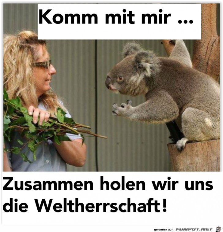 Komm mit mir Komm mit mir