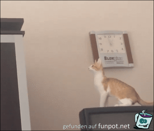 Ausgerutscht Ausgerutscht
