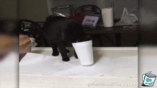 Milch-Sauerei Milch-Sauerei