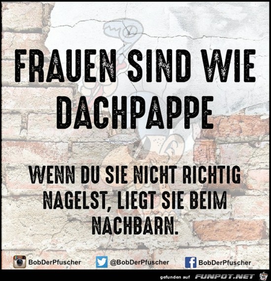 Frauen sind wie Dachpappe