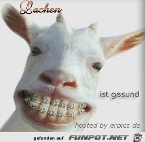 Lachen Lachen