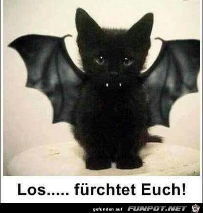 Fürchte dich Fürchte dich