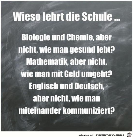 wieso lehrt die Schule......