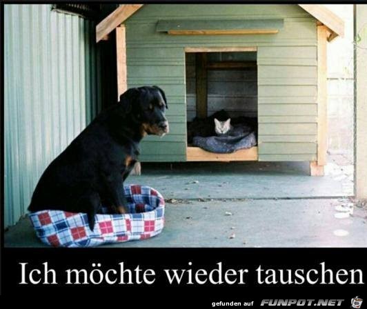 Tauschen Tauschen