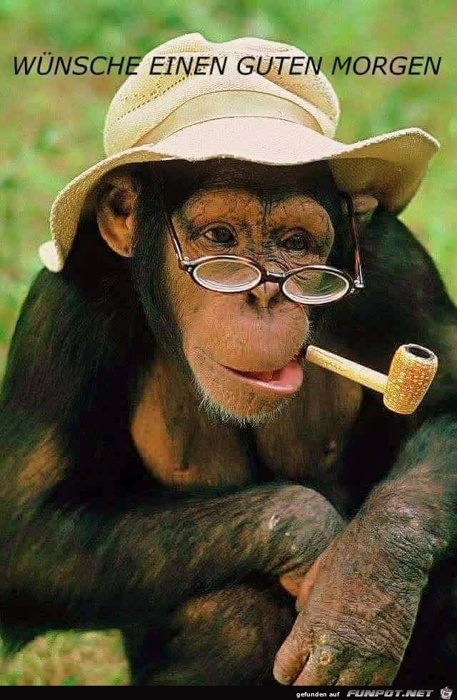 Wuensche einen guten Morgen Wuensche einen guten Morgen