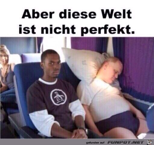 Die Welt ist nicht perfekt Die Welt ist nicht perfekt