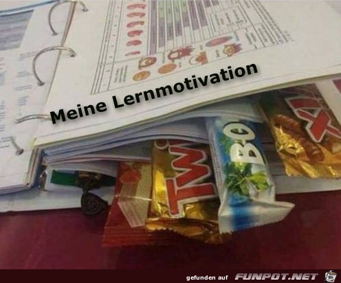Motivation Motivation