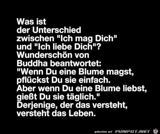 was ist der Unterschied ?......