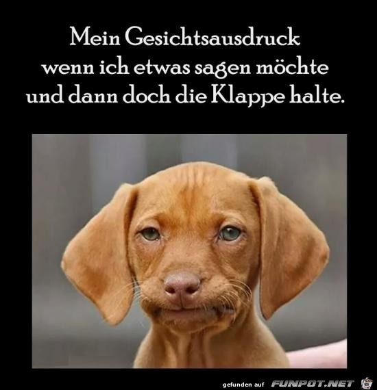 mein Gesichtsausdruck...... mein Gesichtsausdruck......