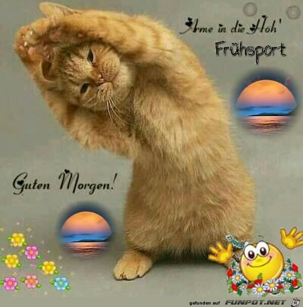 Fruehsport Fruehsport