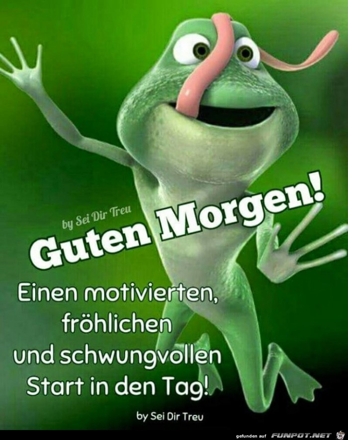 Guten Morgen--